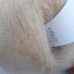 Lana Gatto Silk Mohair Lux 3806