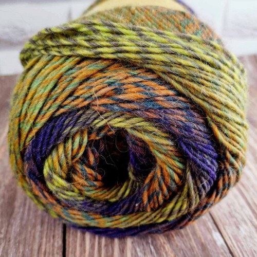 REGIA Virtuoso Color 03082