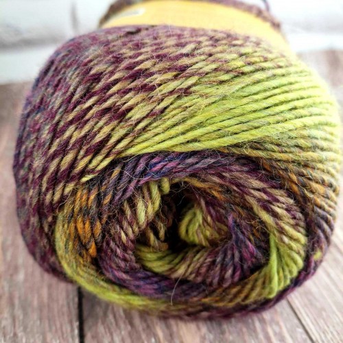 REGIA Virtuoso Color 03078